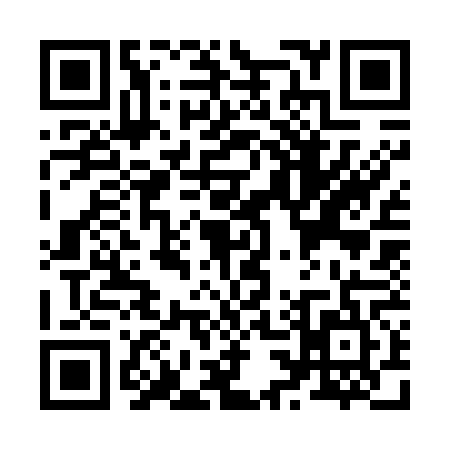 QR code for Z337651