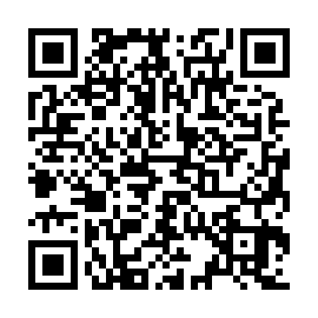 QR code for Z338235