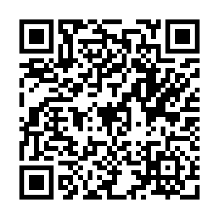 QR code for Z339569