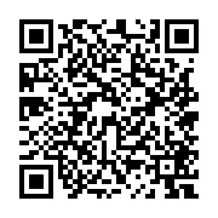 QR code for Z351491