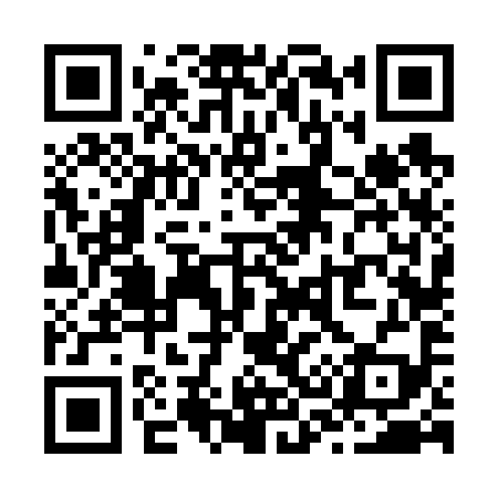 QR code for Z36699