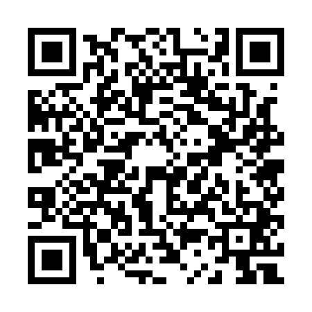 QR code for Z371415