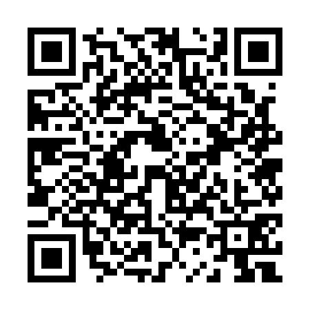 QR code for Z371713