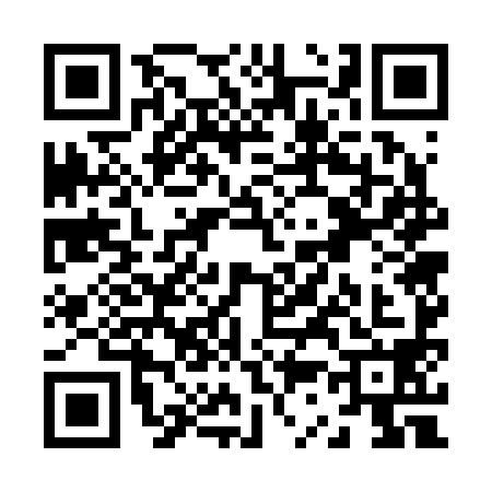 QR code for Z372981