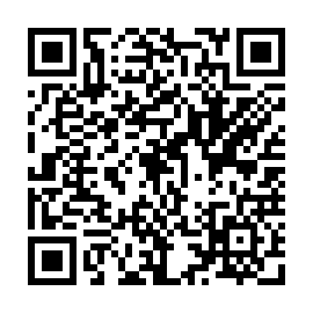 QR code for Z373267