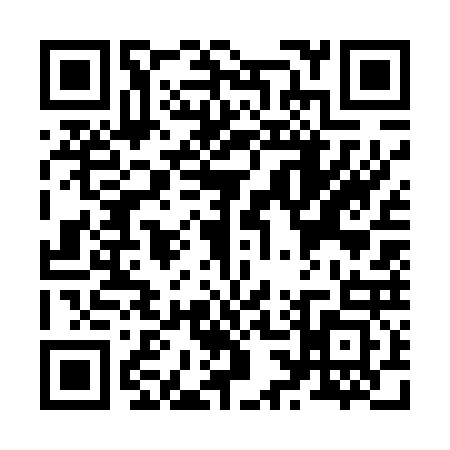 QR code for Z374231