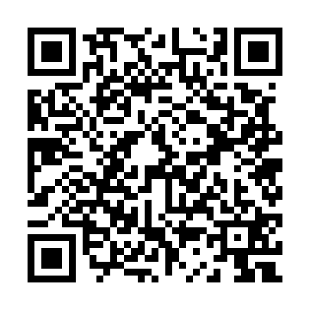 QR code for Z375213