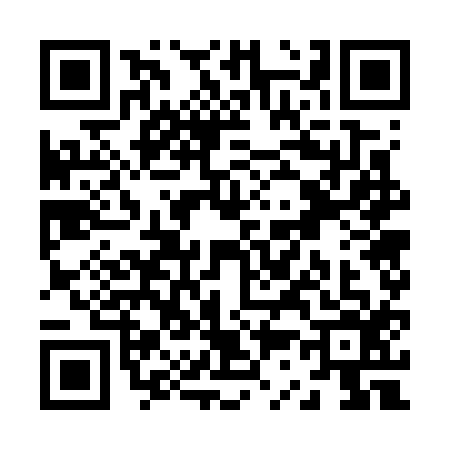 QR code for Z377165