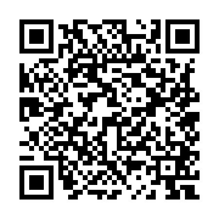 QR code for Z379411