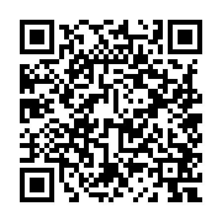 QR code for Z379420