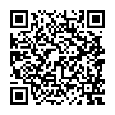 QR code for Z380858