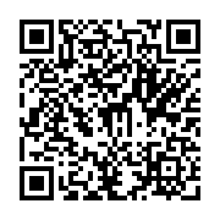 QR code for Z381219