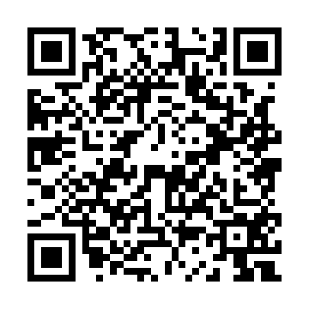 QR code for Z381541