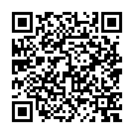 QR code for Z381733