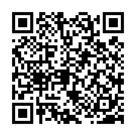 QR code for Z384300