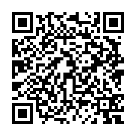 QR code for Z384322