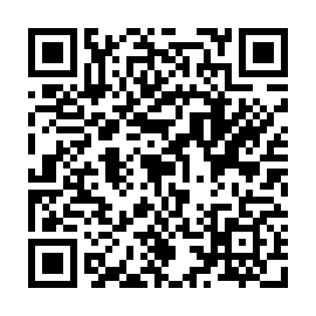 QR code for Z385696