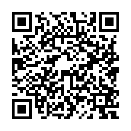 QR code for Z389034