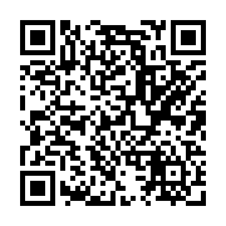QR code for Z38924