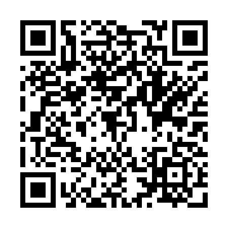 QR code for Z389394