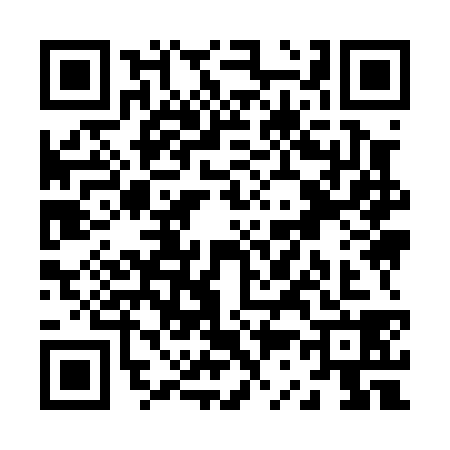 QR code for Z390385