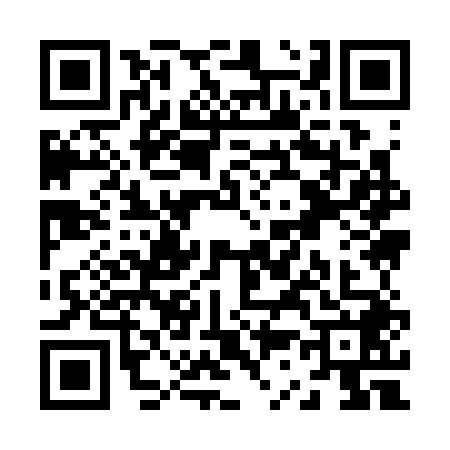 QR code for Z393481