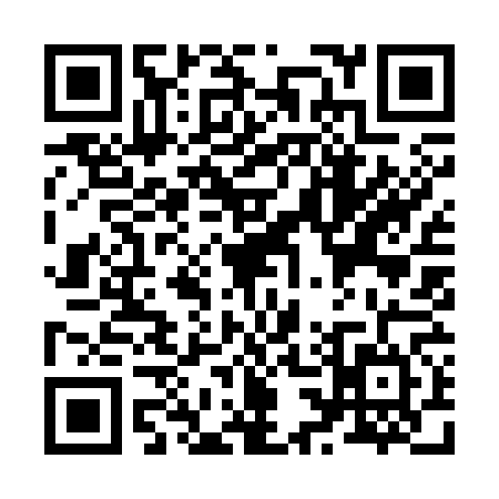 QR code for Z393644