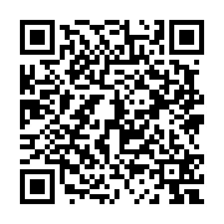 QR code for Z394211