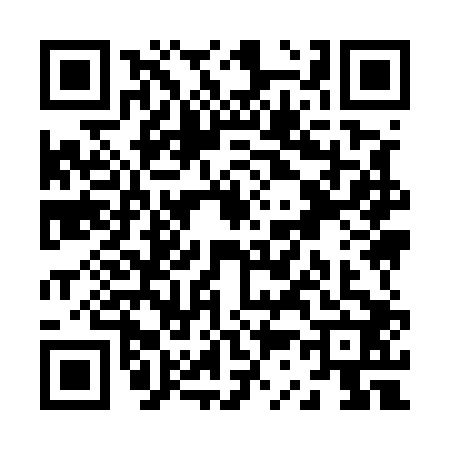 QR code for Z395021