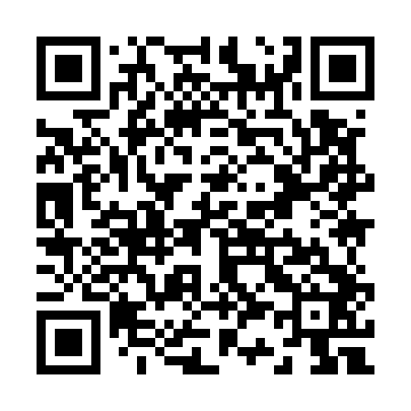 QR code for Z39542