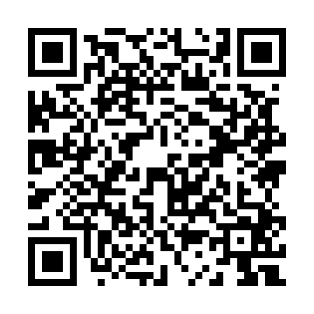 QR code for Z395446
