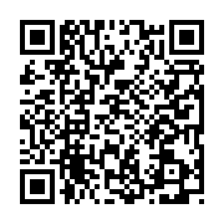 QR code for Z398134