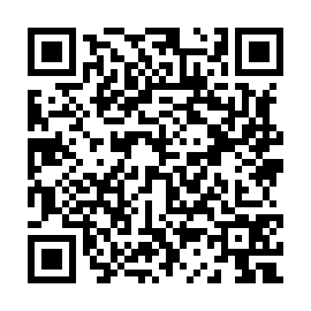 QR code for Z398745