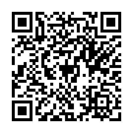 QR code for Z399533
