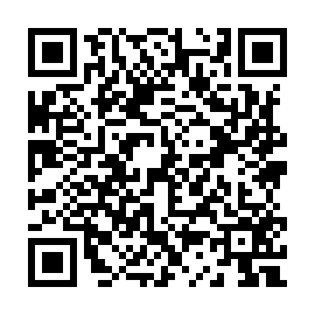 QR code for Z399567