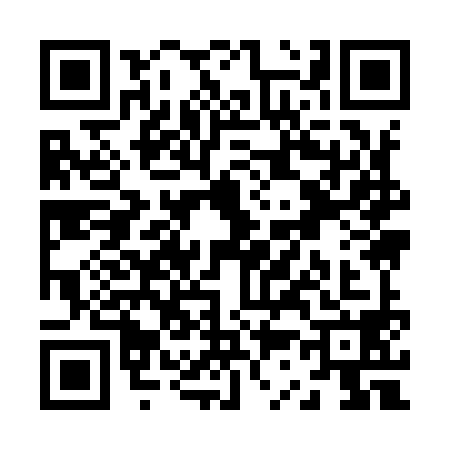 QR code for Z399986