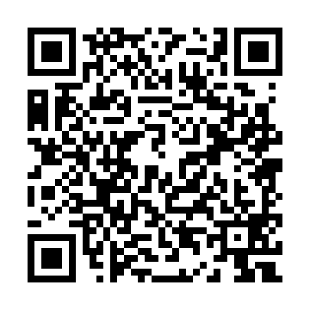 QR code for Z403994