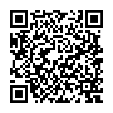QR code for Z404965