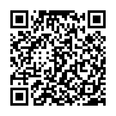 QR code for Z41011