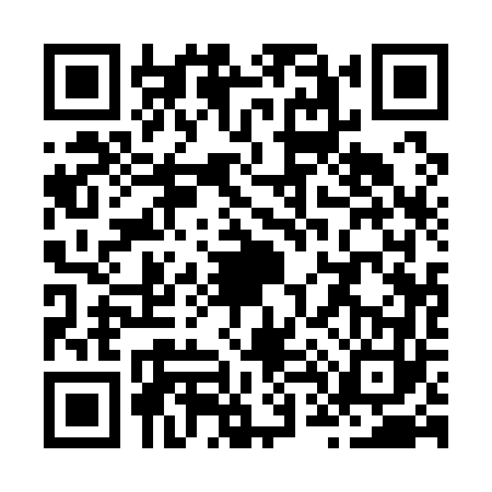 QR code for Z411636