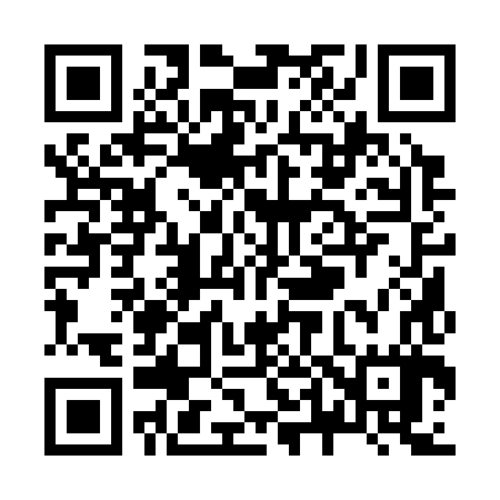 QR code for Z41387