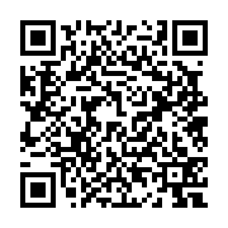 QR code for Z420336