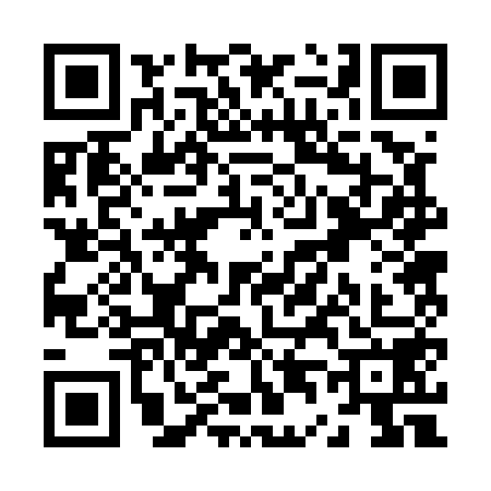 QR code for Z425582