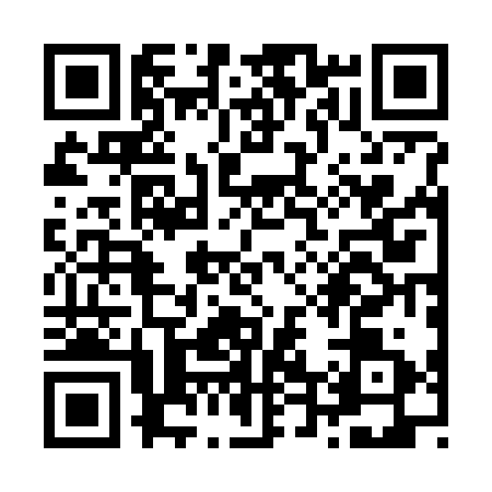QR code for Z427311