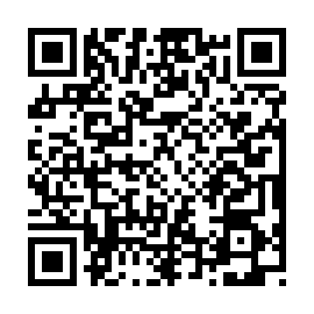 QR code for Z435641