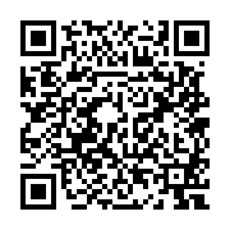 QR code for Z435807