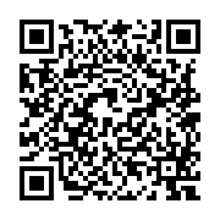 QR code for Z439851