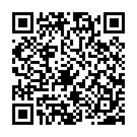 QR code for Z440124