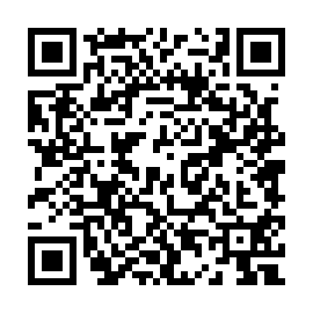 QR code for Z441106