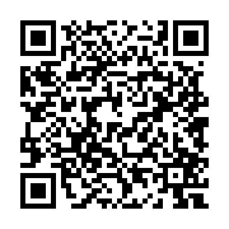 QR code for Z445076